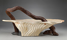 Serpentine Bench by Aaron Laux (Wood Bench)