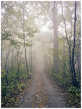 Fog Minooka by William Lemke (Color Photograph)