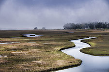 Estuaries by Lori Pond (Color Photograph)