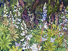 Karner Love Wild Lupine by Helen Klebesadel (Giclee Print)