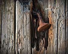 Bent Nail in Fence #1 by Steven Keller (Color Photograph)