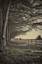 The Long fence by Lori Pond (Color Photograph)