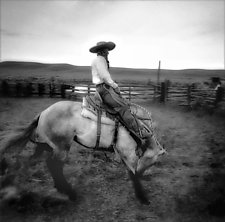 A Fresh Horse by Adam Jahiel (Black & White Photograph)