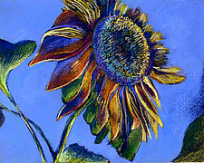 Sunset Sunflower by Jane Sterrett (Giclee Print)