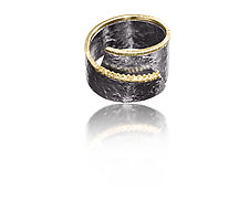 Cyclone Ring by Elizabeth Garvin (Silver, Stone and Gold Ring)