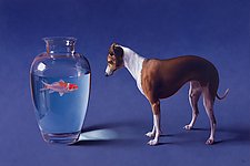 Fish and Dog by Christopher Young (Giclee Print)
