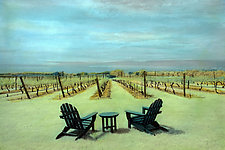 Vineyard in Summer by Elizabeth Holmes (Infrared, Hand Painted Photograph)