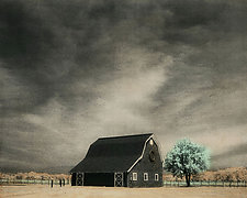 Vineyard Barn and Tree by Elizabeth Holmes (Infrared, Hand Painted Photograph)
