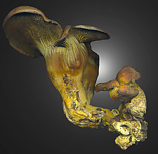 Jack O' Lantern Mushroom by Raphael Sloane (Color Photograph)
