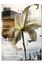 Lily in Venice by Kevin Sprague (Giclée Print)