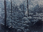 Forest in the Moonlight by William Hays (Linocut Print)