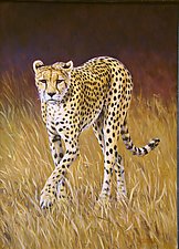 Cheetah by Werner Rentsch (Oil Painting)