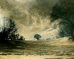 Winter Scene by Elizabeth Holmes (Infrared, Hand Painted Photograph)