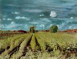 Vineyard in Fall by Elizabeth Holmes (Infrared, Hand Painted Photograph)