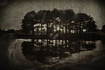 Grove 1820 by Lori Pond (Black & White Photograph)
