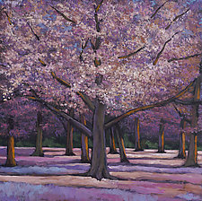Cherry Blossoms by Johnathan  Harris (Giclee Print)