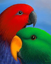 Eclectus by T.W. Wolff (Giclee Print)