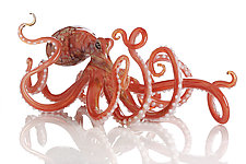Octopus in Coral by Jennifer Caldwell and Jason Chakravarty (Art Glass Sculpture)