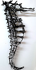 Seahorse I by Paul Arsenault (Metal Wall Art)