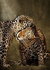 Lean on Me by Melinda Moore (Color Photograph)