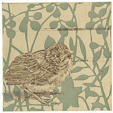 Little Finch by Barbara Stikker (Etching)