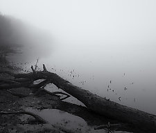 Serenity - Crosby Park - Saint Paul, MN by J.L. Rodman (Black & White Photograph)