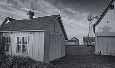 Farm - Rushford, MN by J.L. Rodman (Black & White Photograph)