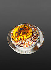 Gold Nautilus on Cream Paperweight by Richard Satava (Art Glass Paperweight)