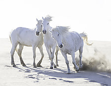 Three Play at the Beach by Carol Walker (Color Photograph)