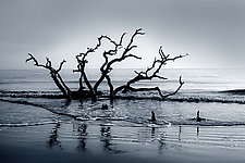 Boneyard Dawn by Richard Speedy (Black & White Photograph)