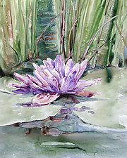 Water Lily by Maureen Kerstein (Giclee Print)