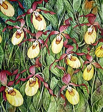 Yellow Lady Slipper Field by Helen Klebesadel (Watercolor Painting)