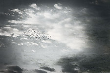 dawn Flight by Lori Pond (Black & White Photograph)