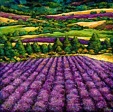 Tuscan Lavender by Johnathan Harris (Giclee Print)