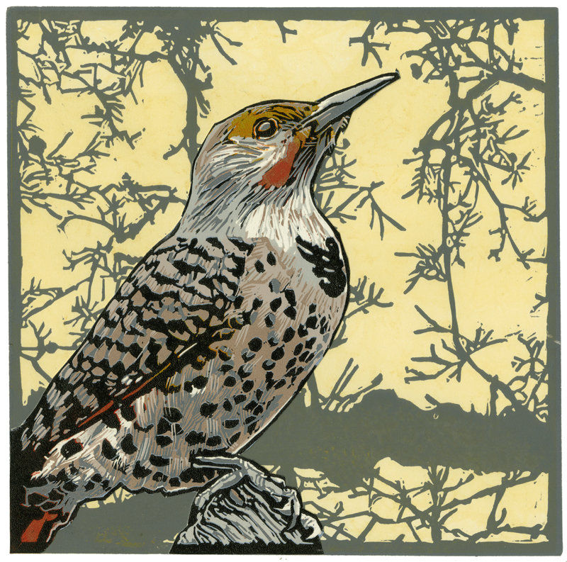 multi colour original bird reduction linoleum print on paper