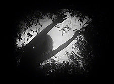 Flying by Lori Pond (Black & White Photograph)