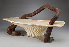 Serpentine Bench by Aaron Laux (Wood Bench)