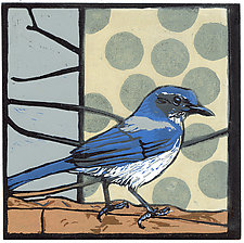 Scrub Jay by Barbara Stikker (Linocut Print)